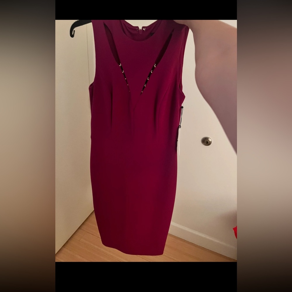 Elegant Sleeveless Burgundy Dress